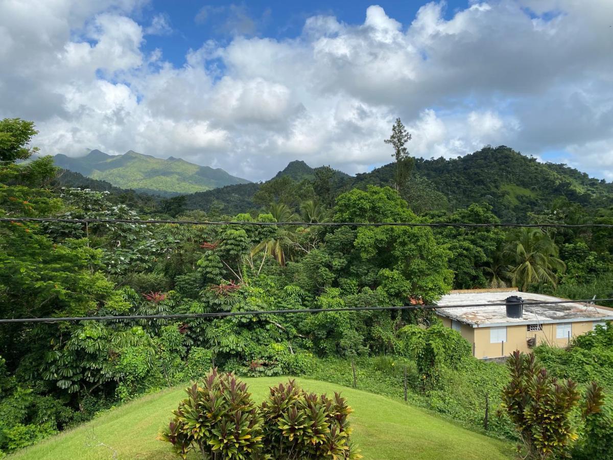 Rainforest Retreat 15 Min From The Beach ลูควิโญ ภายนอก รูปภาพ